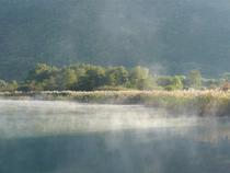 Marais Bout du lac Annnecy
