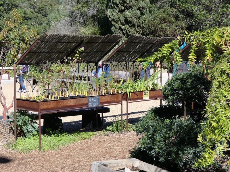 La pépinière du Domaine du Rayol_Rayol-Canadel sur Mer