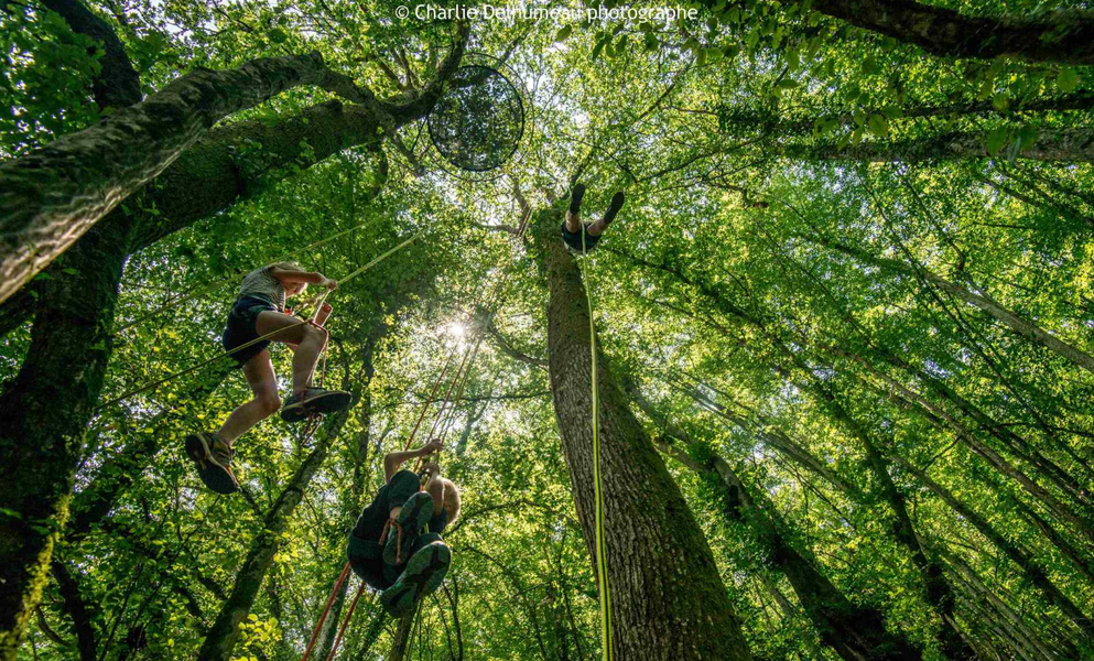 Quelques part dans une forêt pélussinoise_Pélussin