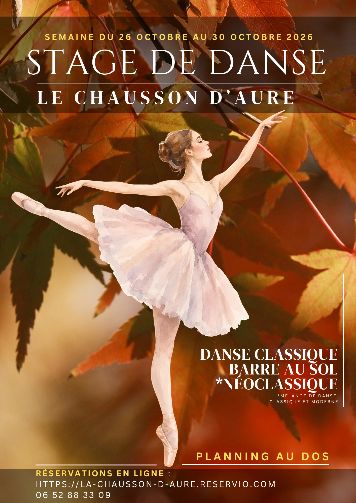Stage de Danse