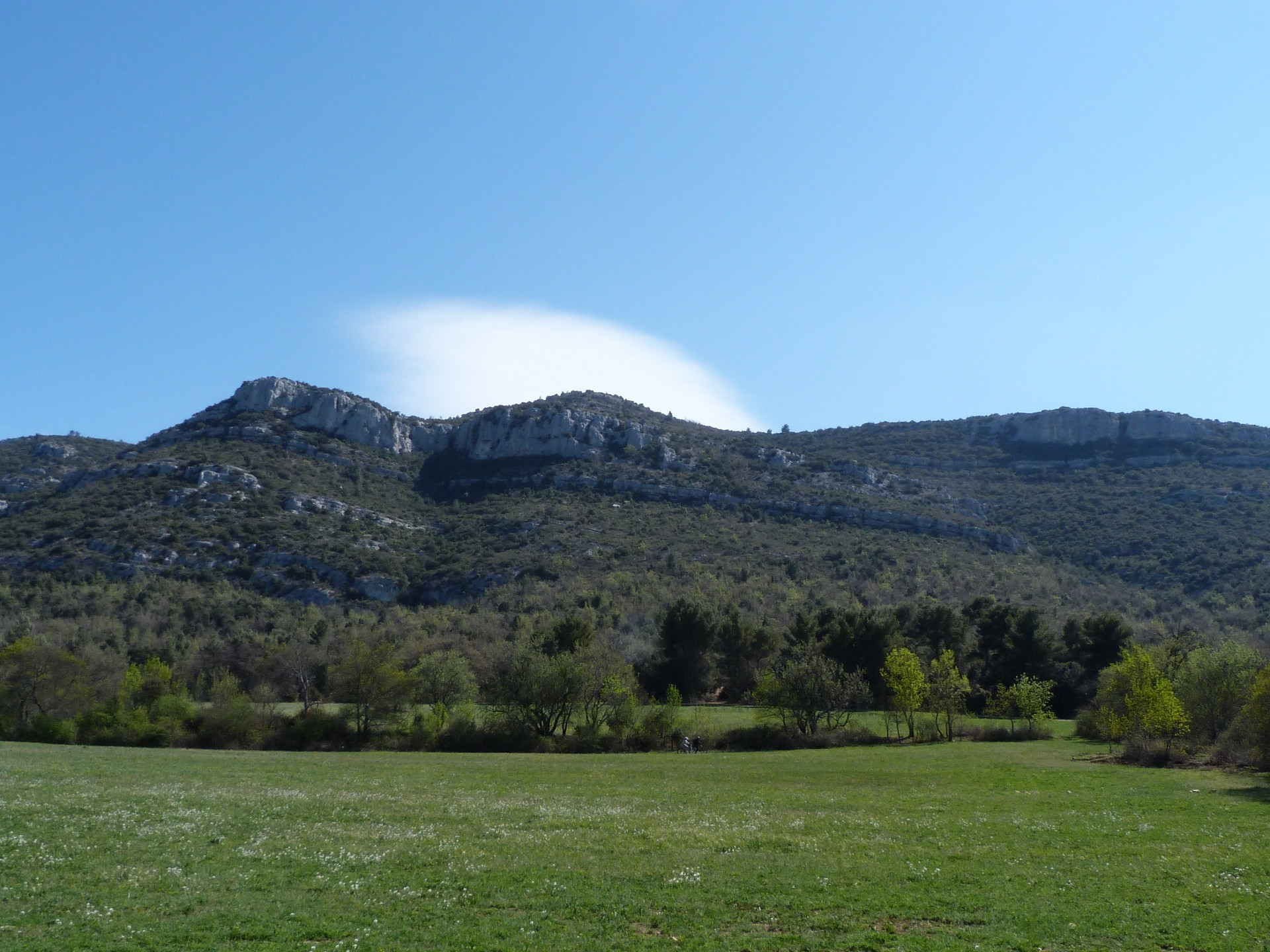 Circuit pédestre dans le Domaine Départemental de Pichauris "Les Grands Ubacs"