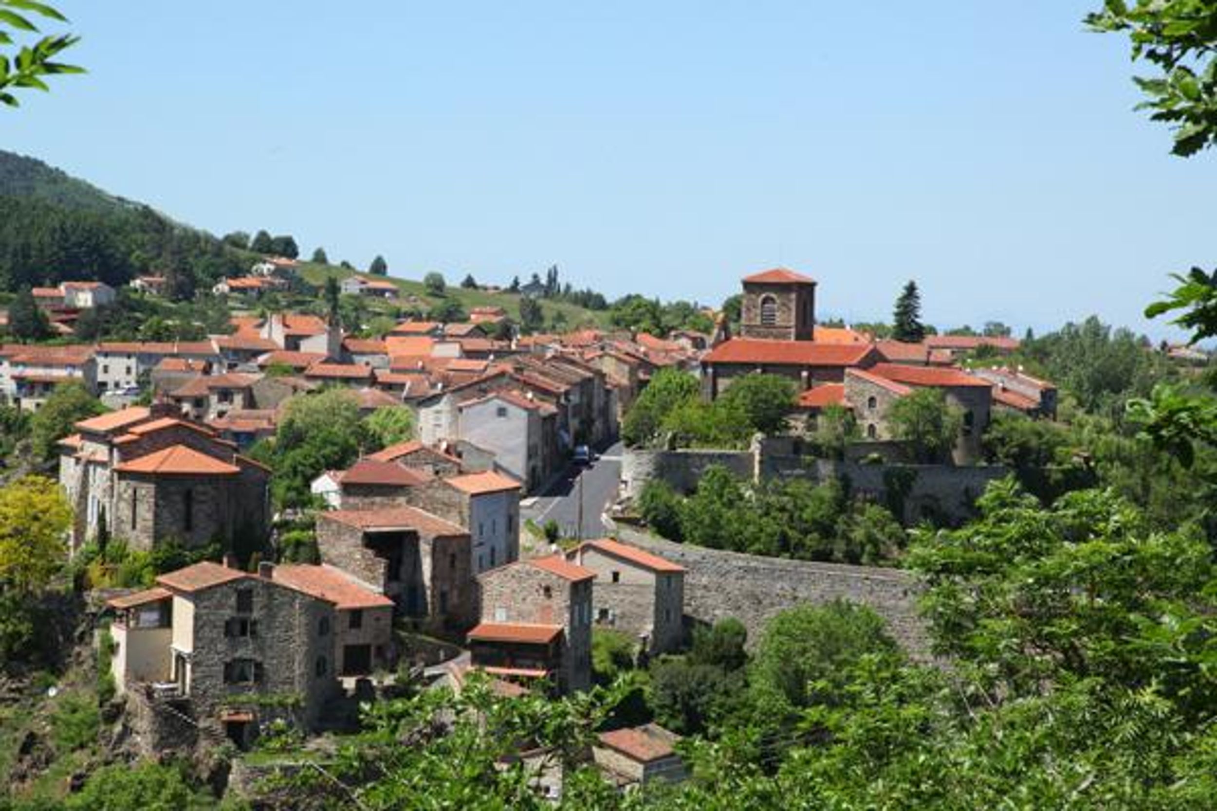 Trail N°13 - Le tour du Montbrison