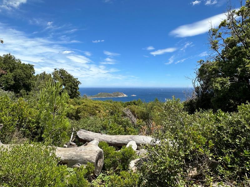 Domaine du Cap Lardier VTT