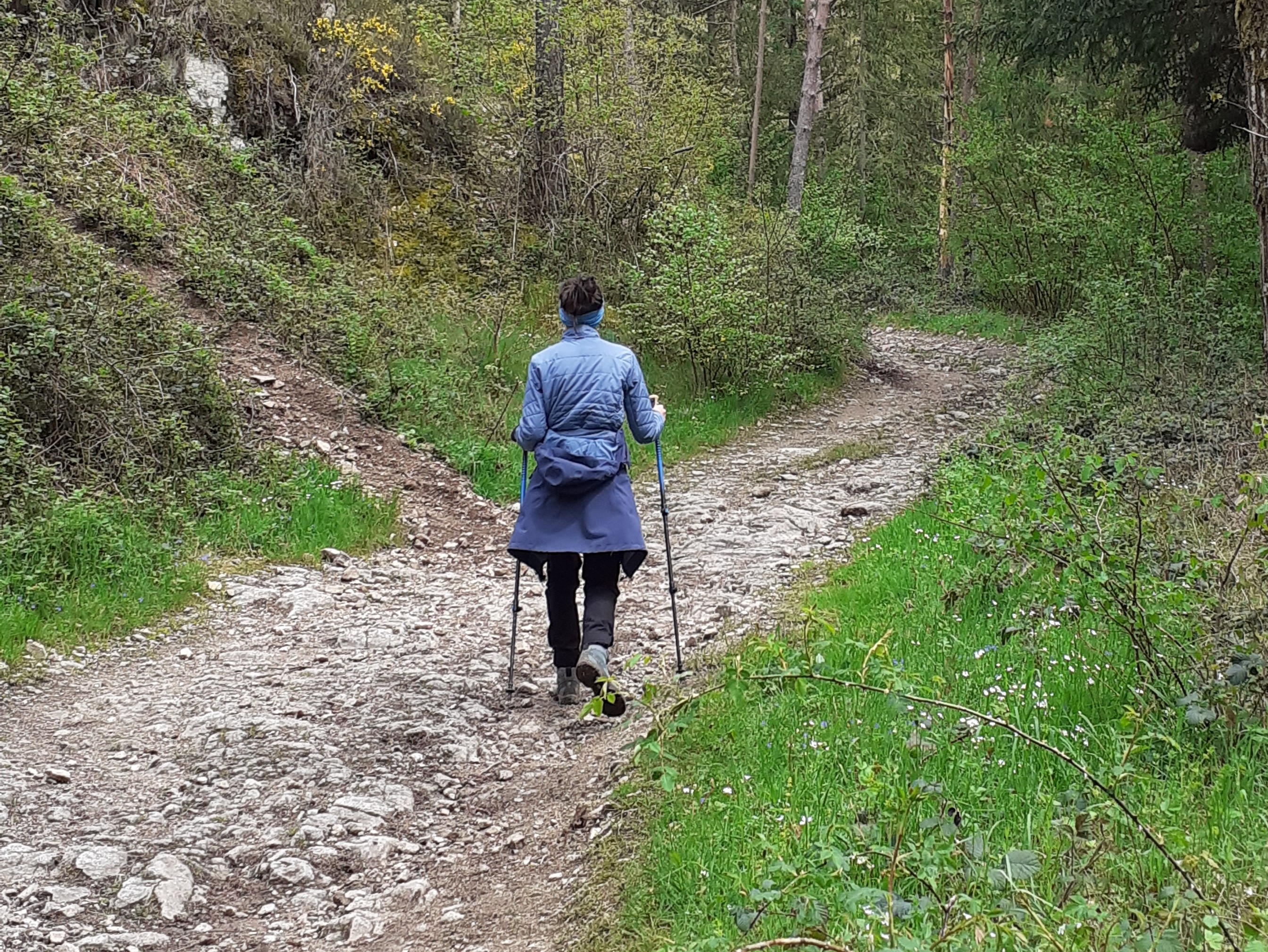 Offre : Randonnée sur les chemins de la Chapelle d Aurec Le 25 oct 2024