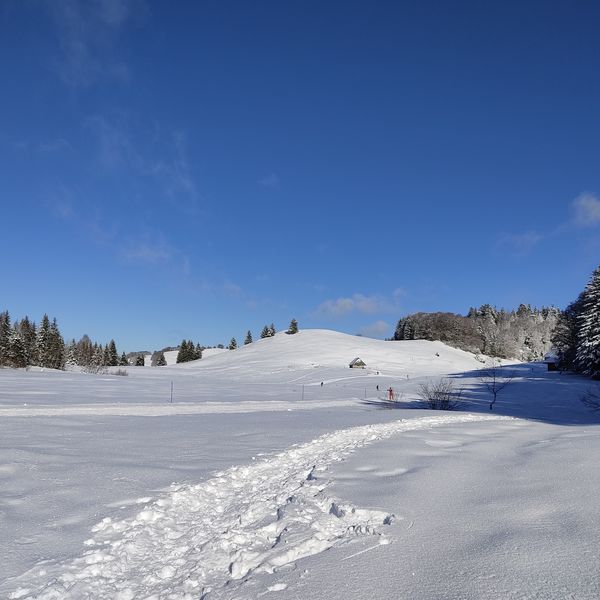 tourbiere des creusates
