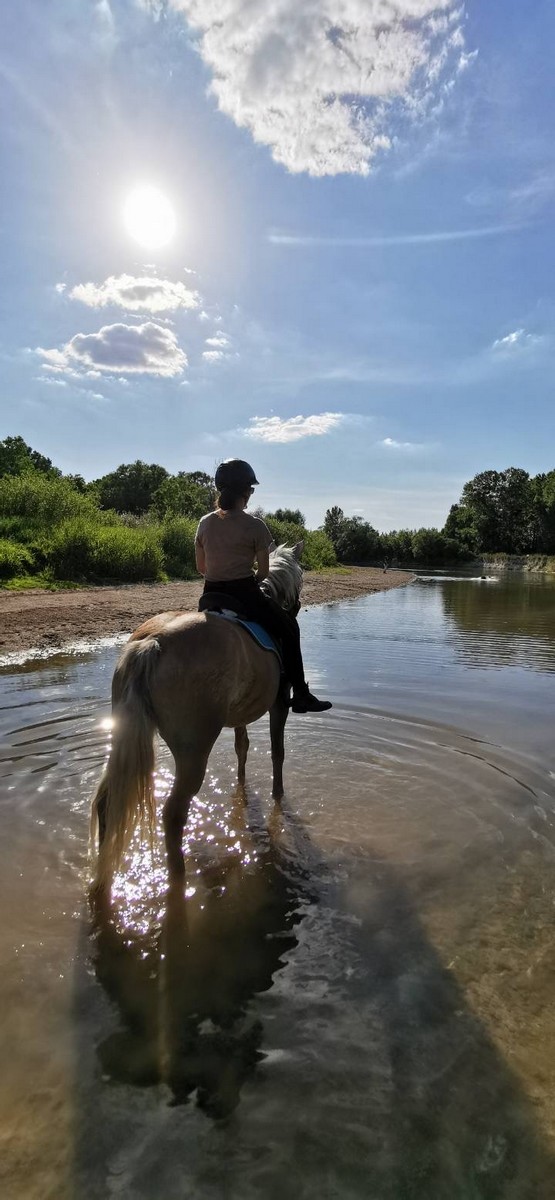 Centre équestre de Menois, Rouilly-Saint-Loup - photo 2