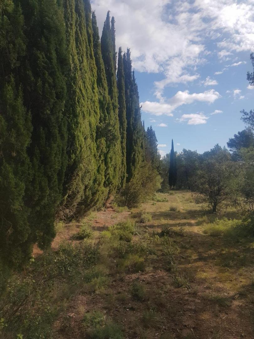 La Maison du Vallon, Barbentane - photo 24