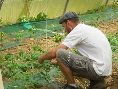 Ma Saison Légumes et fruits AB