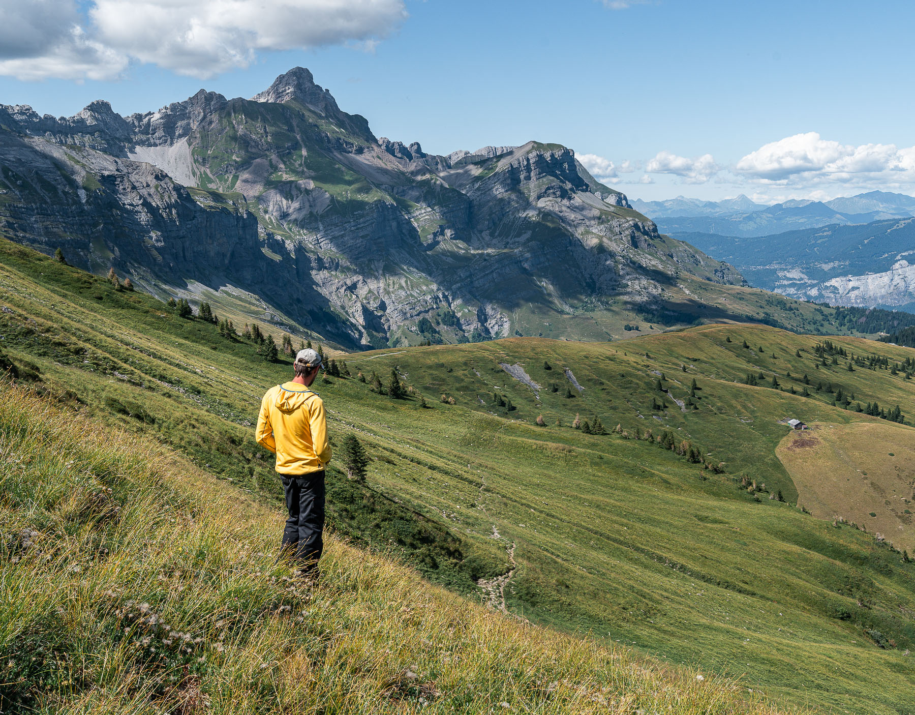 Quand les hommes et les animaux s’harmonisent en montagne