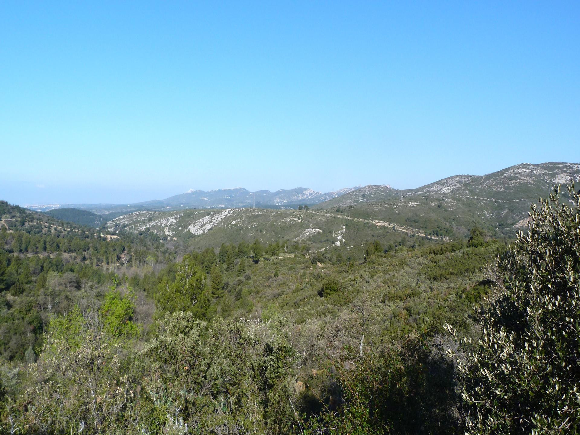 Domaine de Pichauris