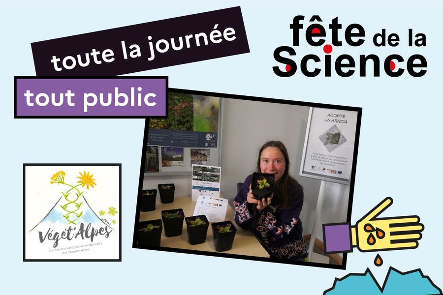 Adopter un Arnica - © Jardin du lautaret Fête de la Science au Jardin du lautaret - © Jardin du lautaret