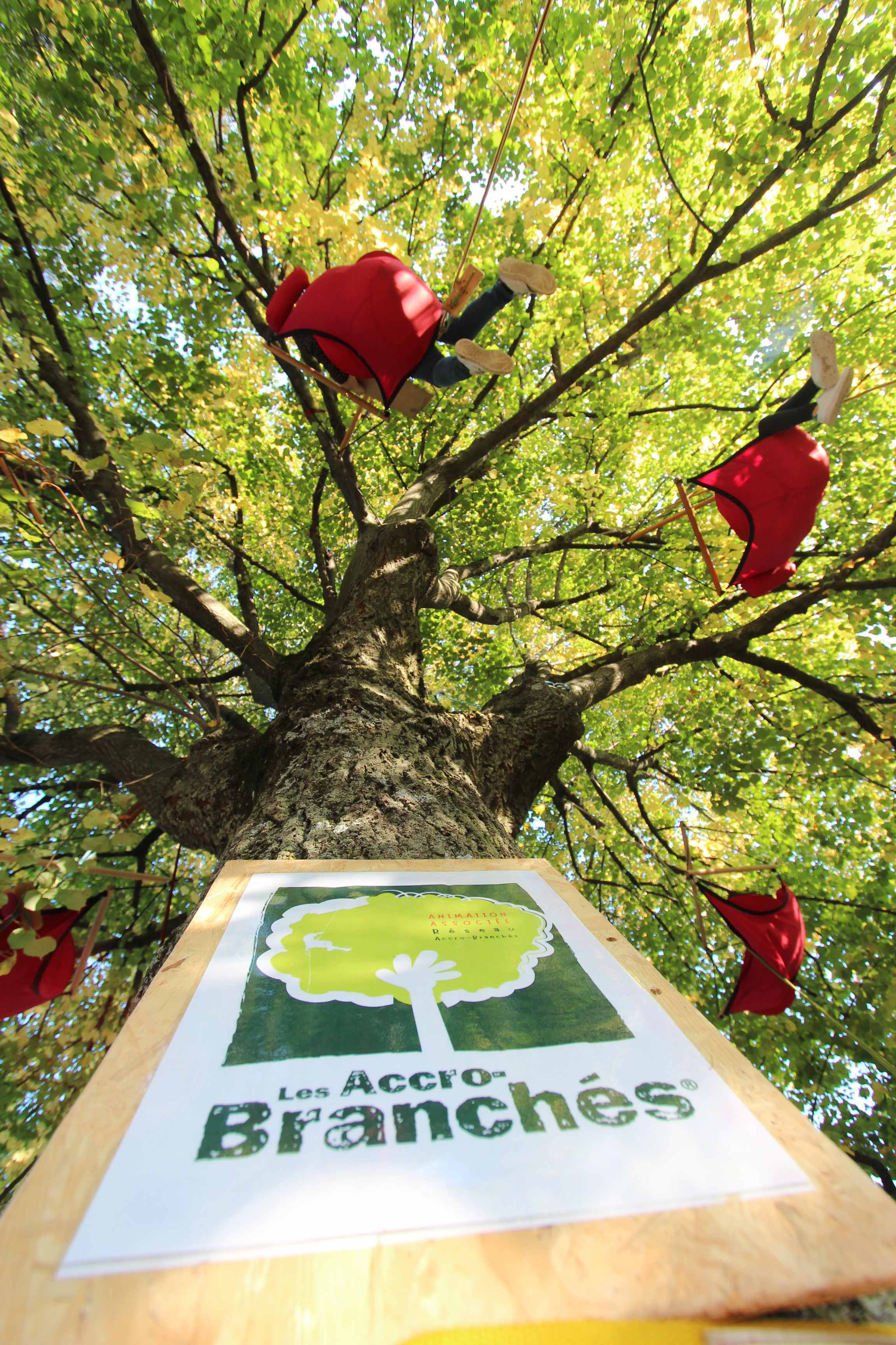Accrobranche en terrain d'aventure - Grimpe d'arbres_Davézieux