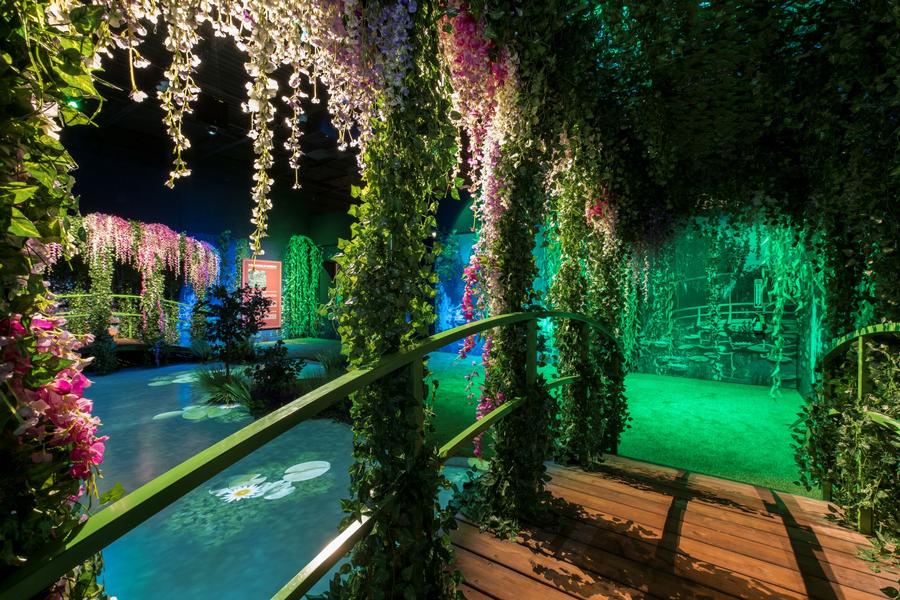Monet : The Immersive Experience