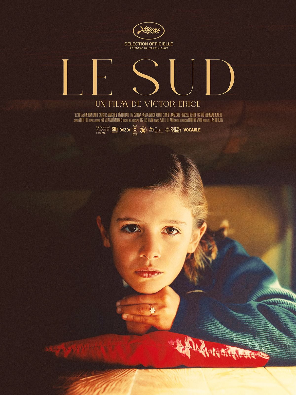 Affiche du film