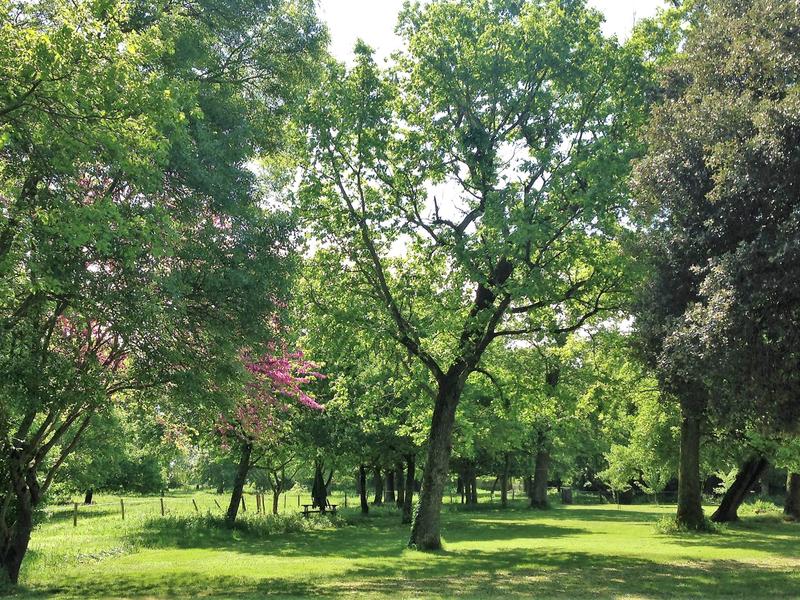 Parc du Clos de la Garenne