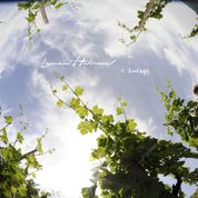 Domaine Habrard