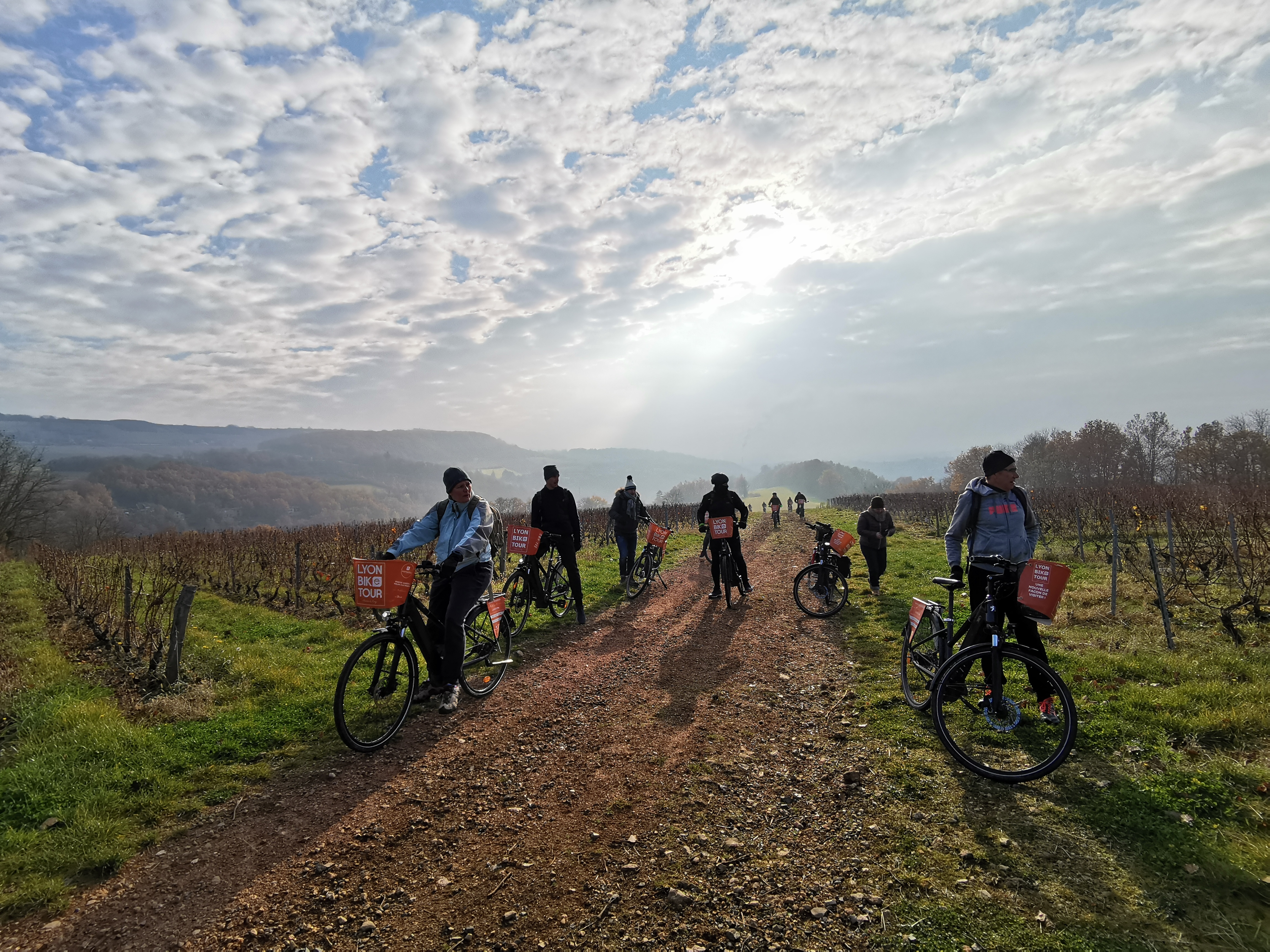 Visite du vignoble en vélo électrique