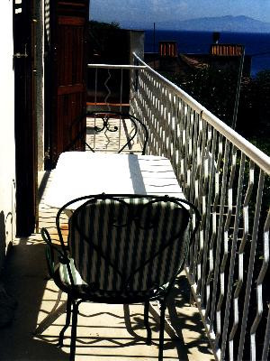 Le Palmier - photo 2