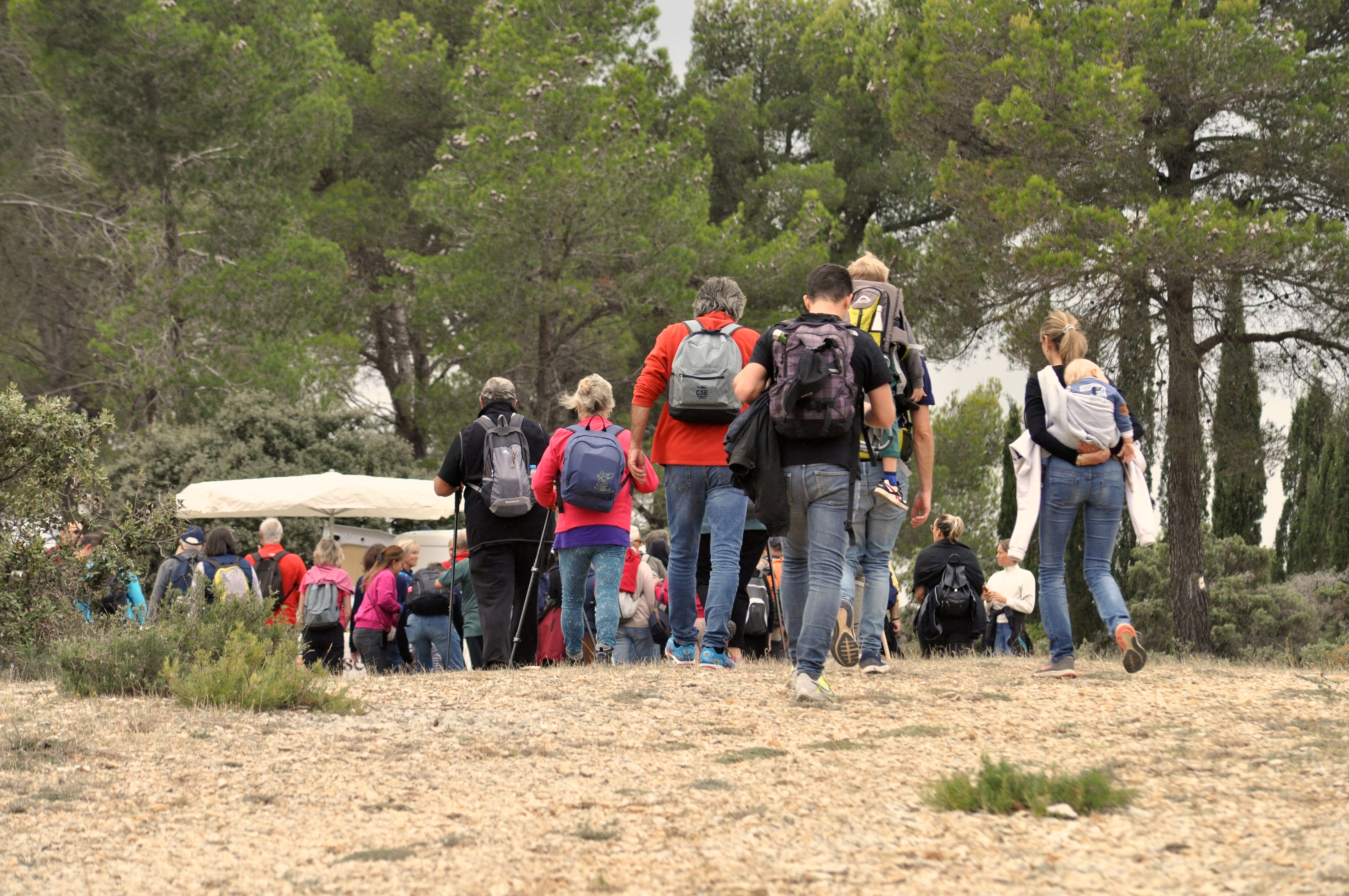 Plaine de Sonnailler (Aurons), Aurons - photo 3