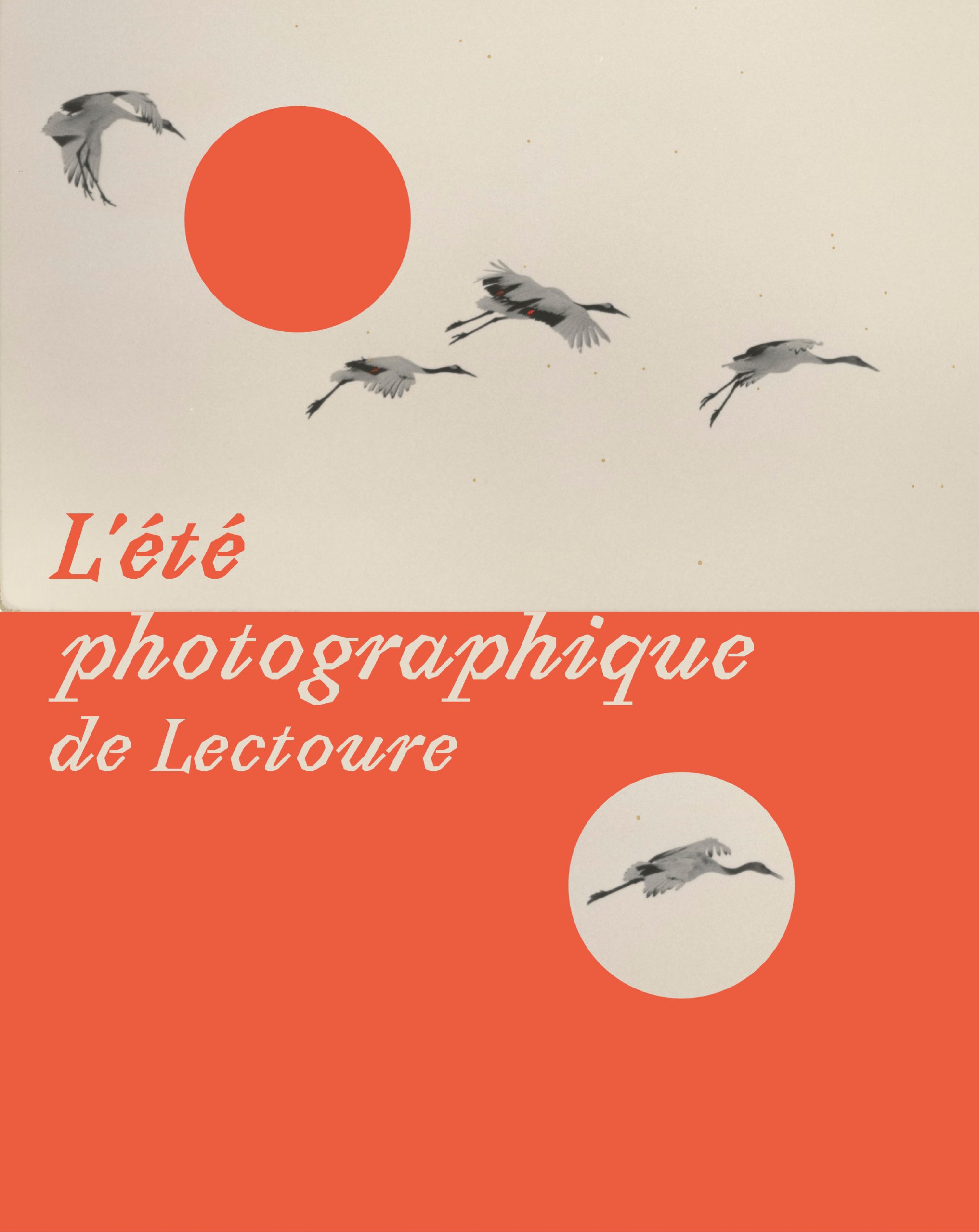 L'été photographique - Séance de cinéma_Lectoure