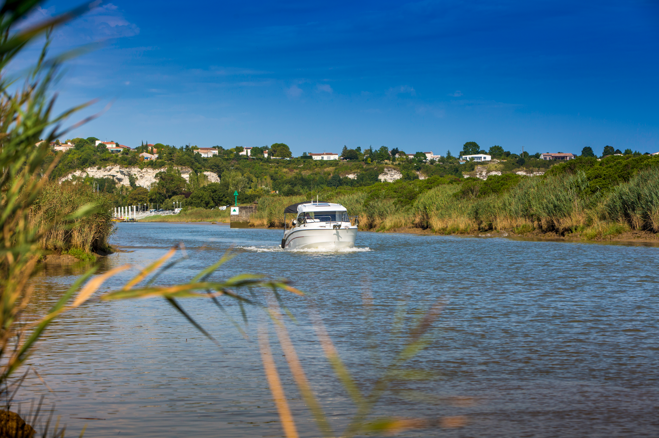 Sorties en bateau sur l'estuaire