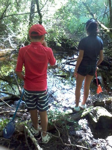 ateliersdulac-aixlesbainsrivieradesalpes