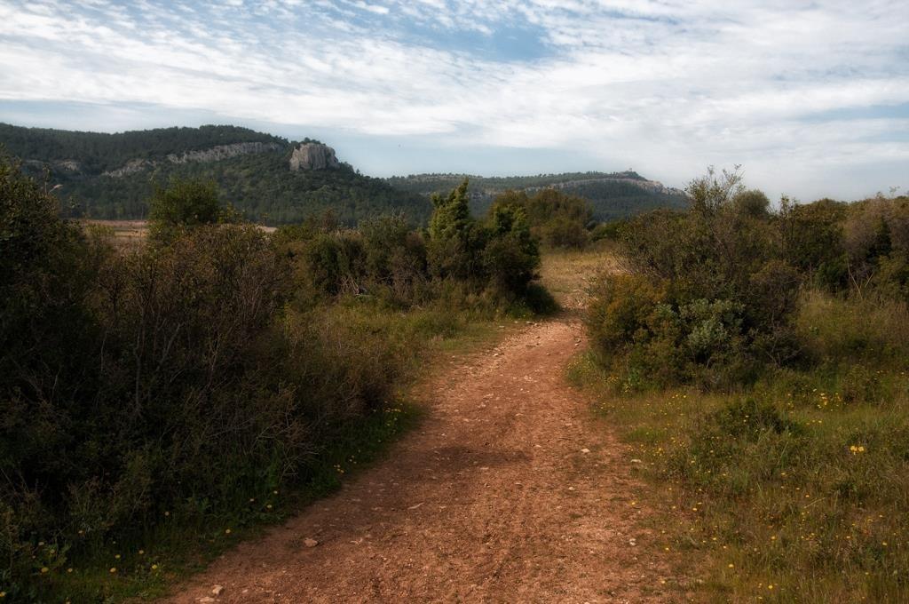 Les Portes Des Calanques, Roquefort-la-Bédoule - photo 21