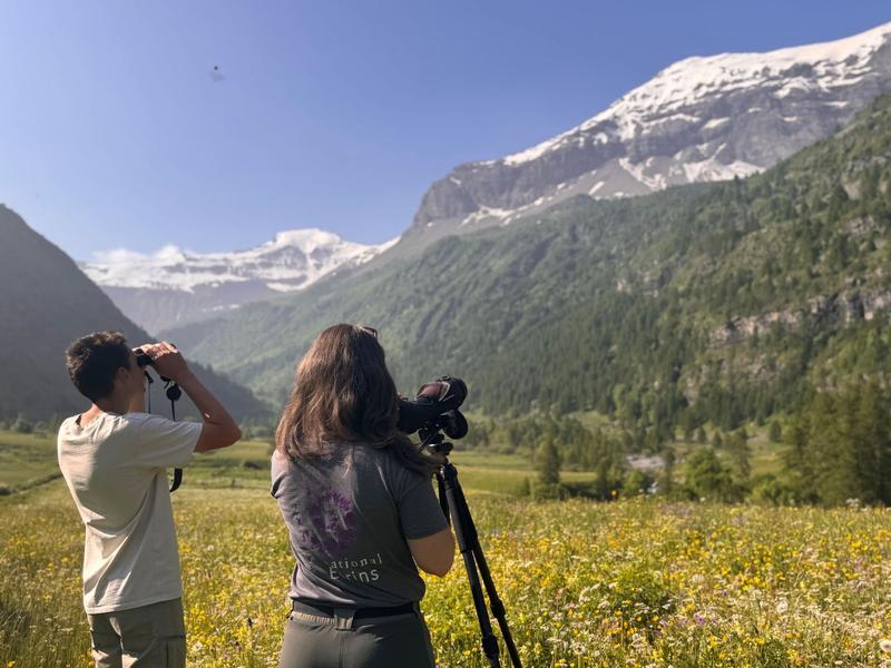 - © Lauryne Tur, Parc national des Ecrins. IMG_6879 - © Lauryne Tur, Parc national des Ecrins.