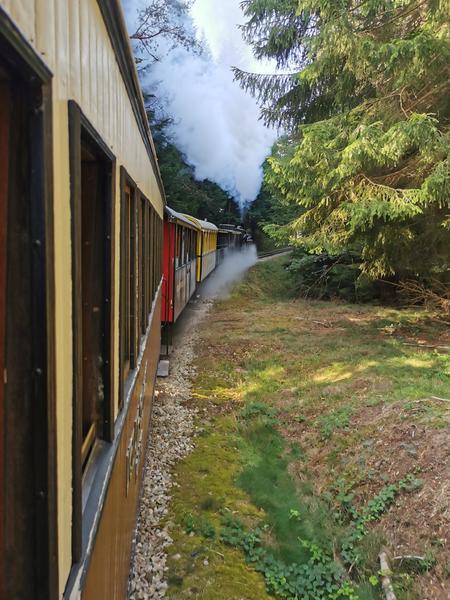 Train a vapeur Velay express