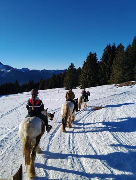 Balade à cheval sur neige_Avoriaz