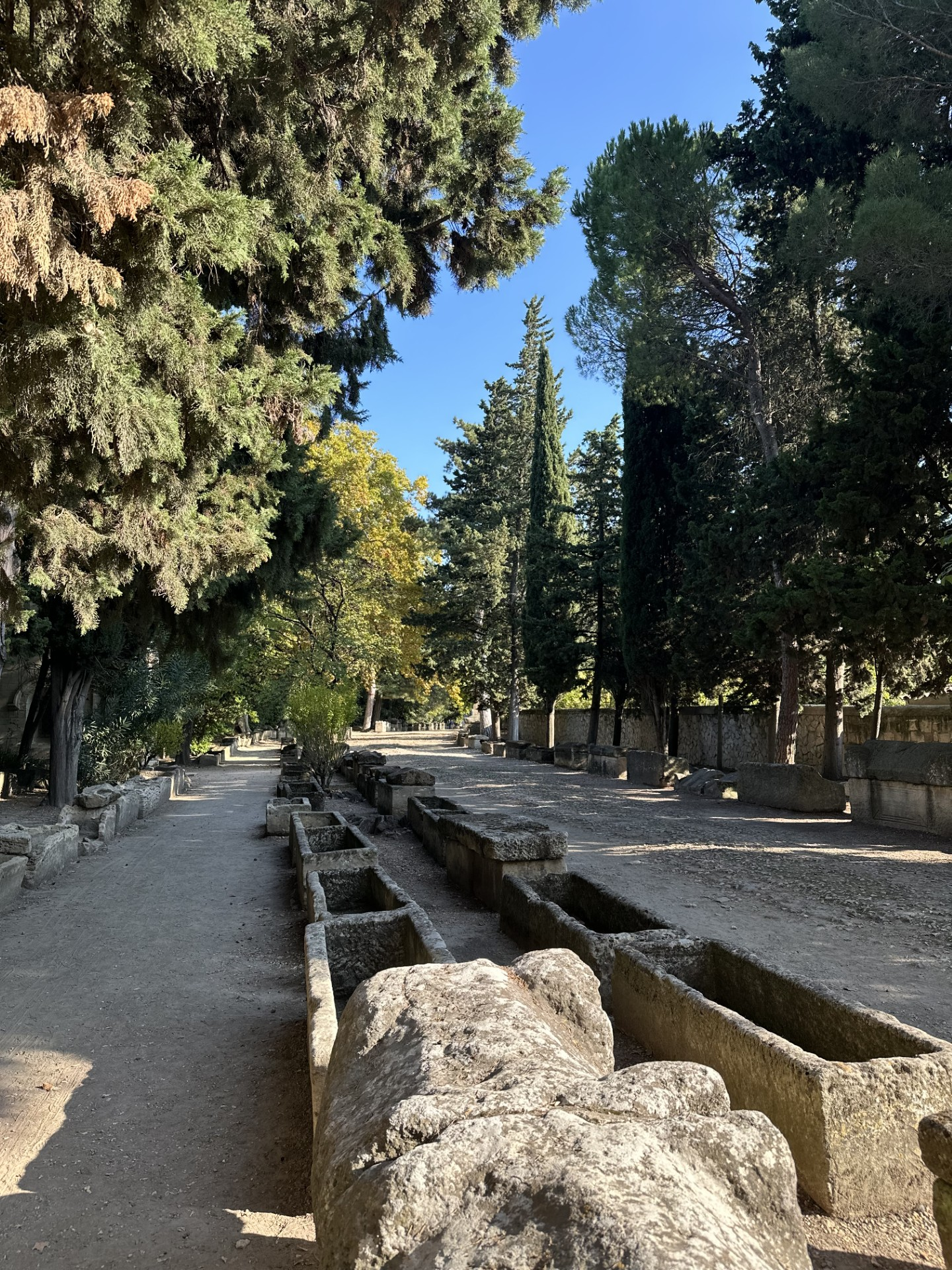 La nécropole des Alyscamps et l'église Saint Honnorat — photo 3