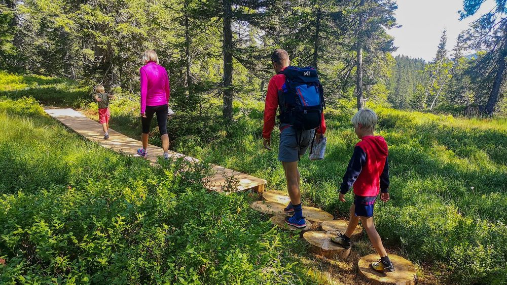 Sentier des Arpelières