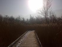 Passerelle au soleil couchant au printemps