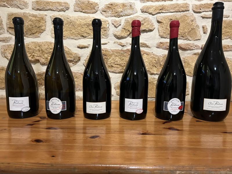 Domaine de Baluce