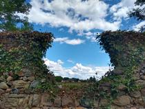 Visite thématique - Aux frontières du temps_Pommiers-en-Forez