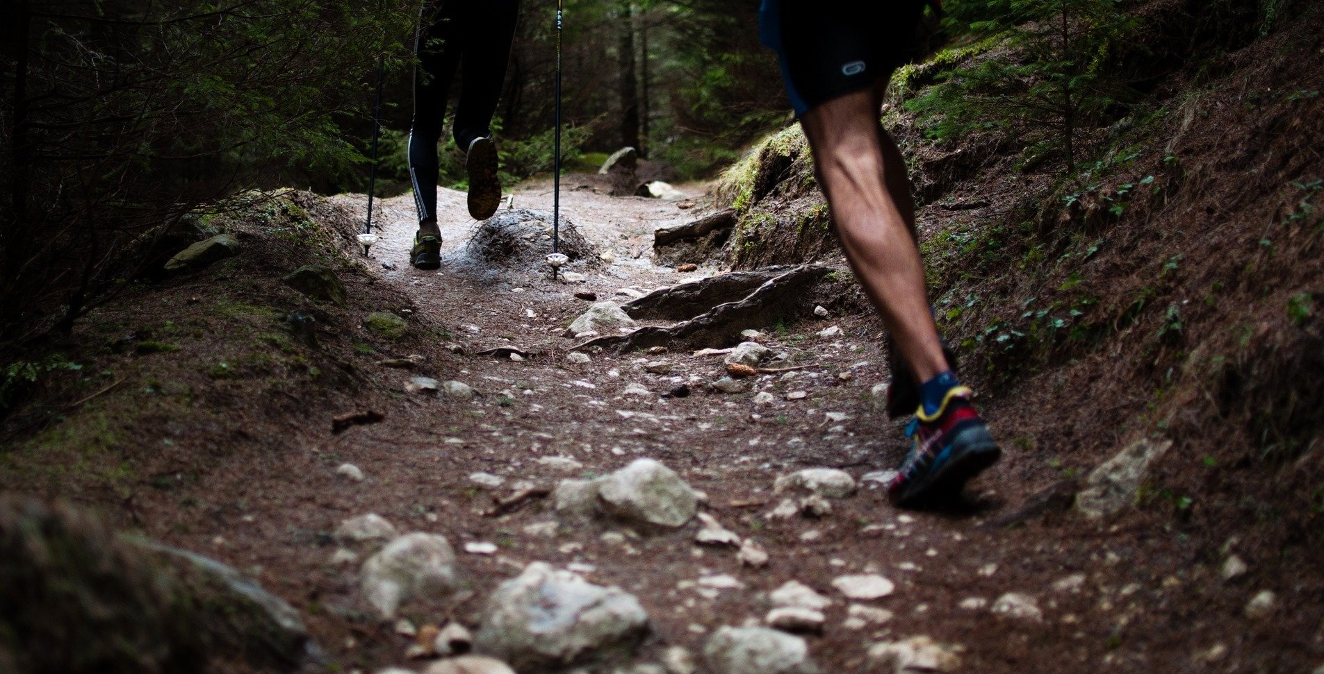 Course pédestre : 11 km de Contrevoz