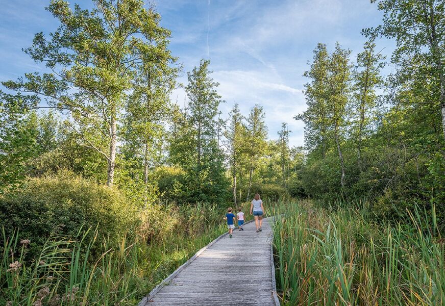 Sentier aménagé au marais de Chilly