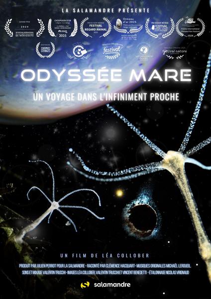 Affiche du film Odyssée mare