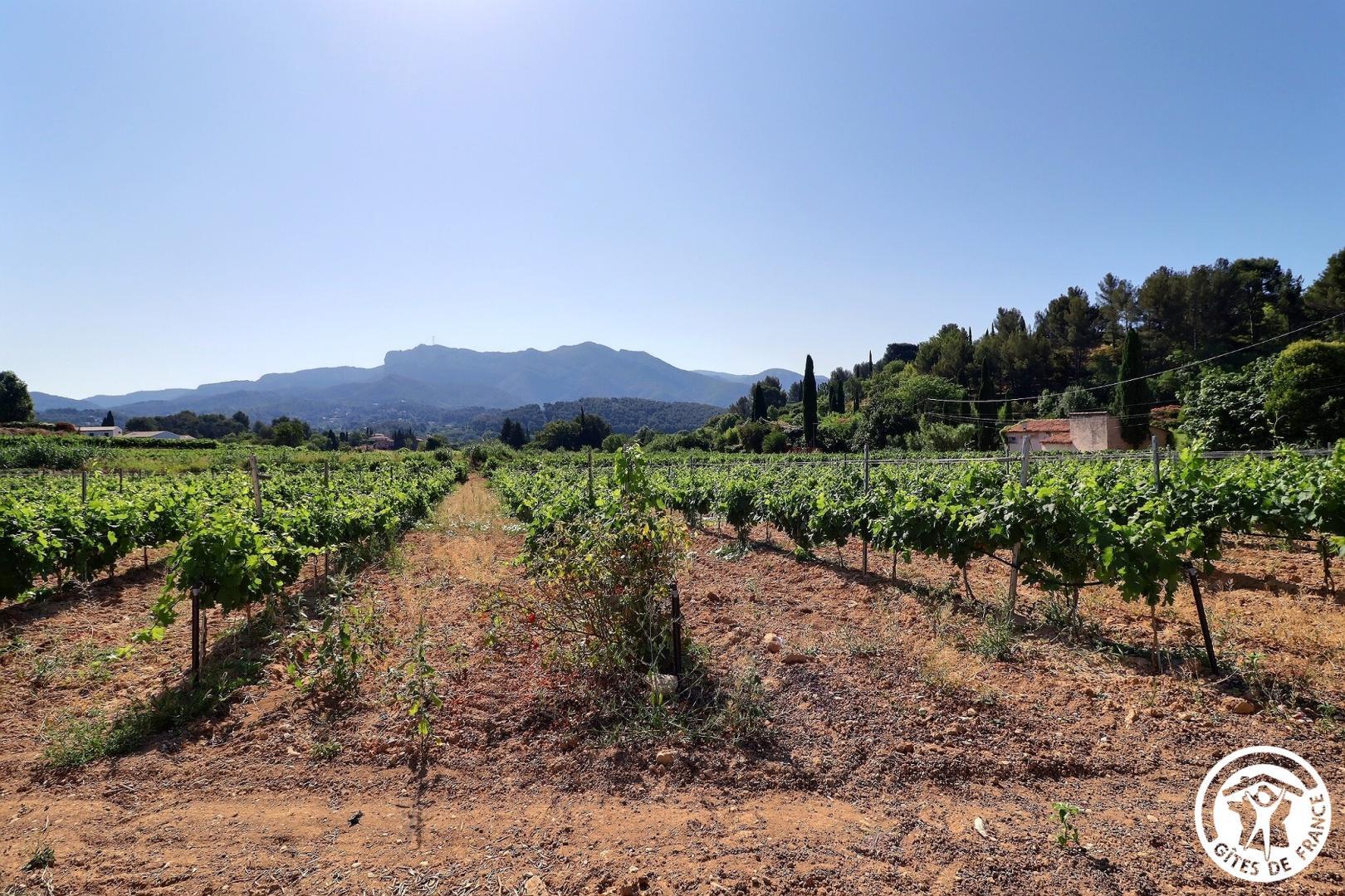 L'Adriju, Roquevaire - photo 22