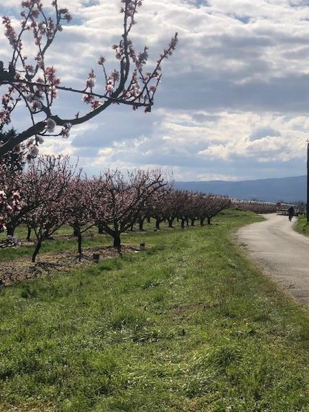 Week-end à vélo dans la Drôme entre villes et campagnes_Valence