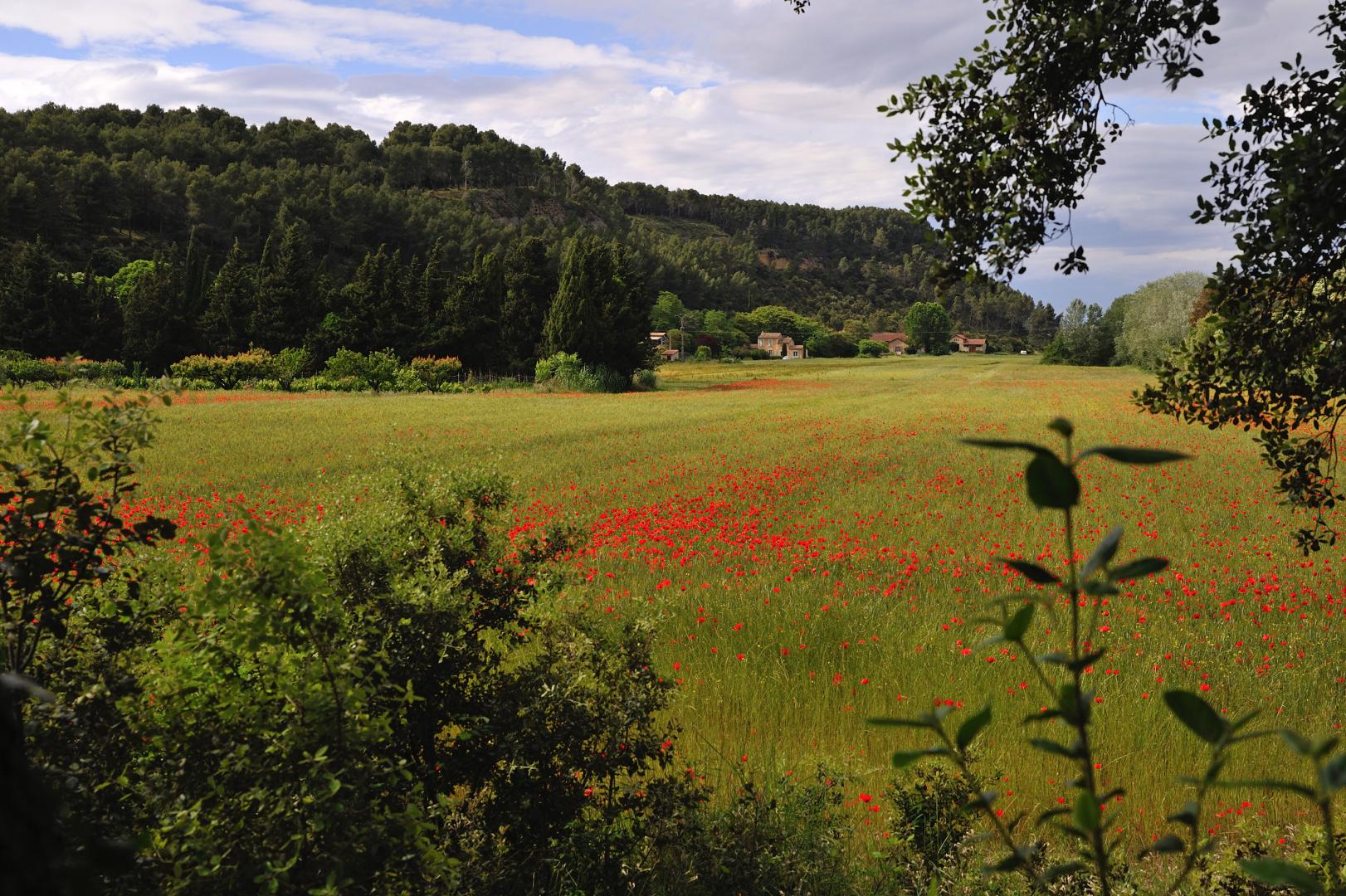 La Maison du Vallon, Barbentane - photo 38