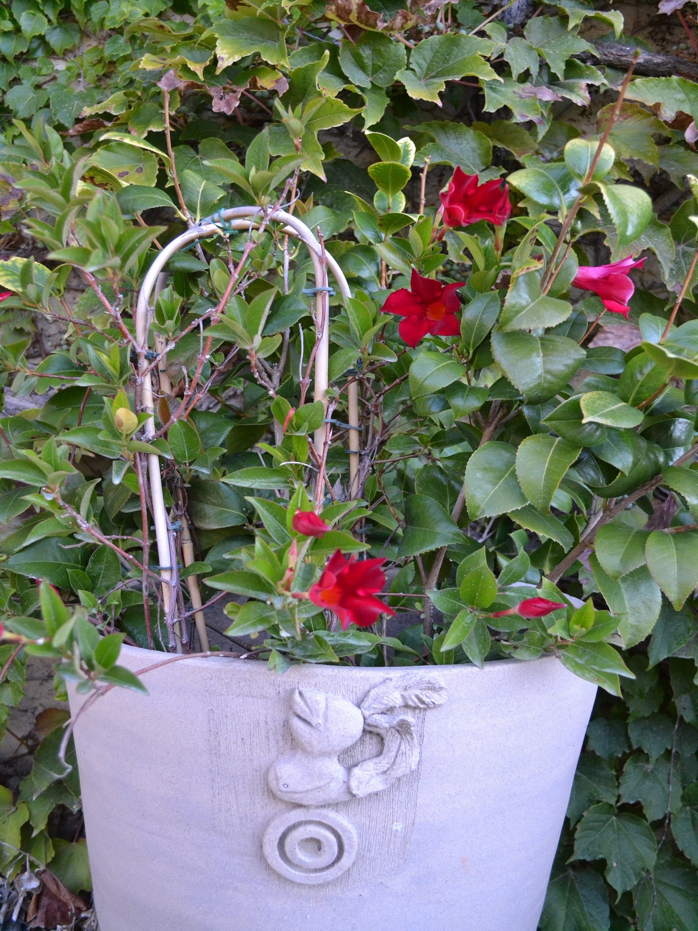 Le Clos d'Albizzi - photo 4