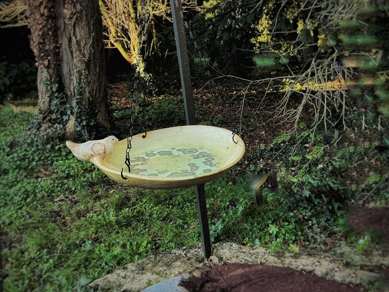 Bain doiseaux dans le jardin