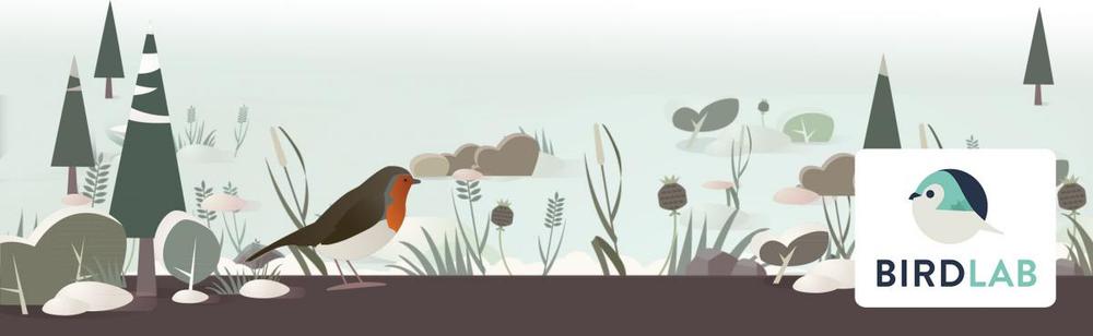 BirdLab : Un laboratoire au jardin pour étudier le comportement des oiseaux 