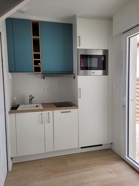 Petite cuisine avec lavabo, plaque de cuisson, hotte, meubles de rangement, micro-ondes.