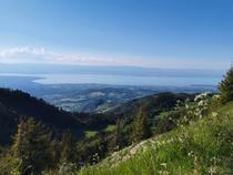 vue sur le lac Léman