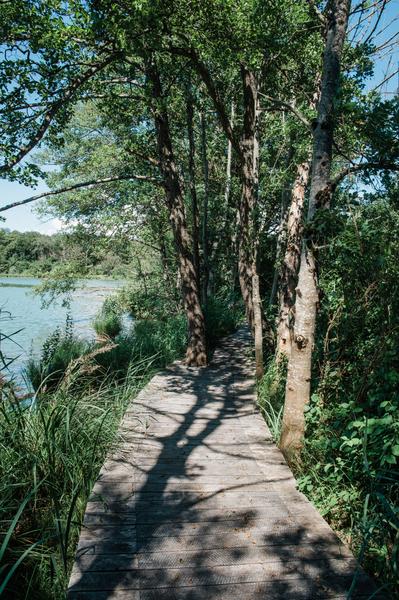 Balade familiale au cœur de l’Espace Naturel Sensible de la Save : de Roche-Plage au Lac de Save_Morestel