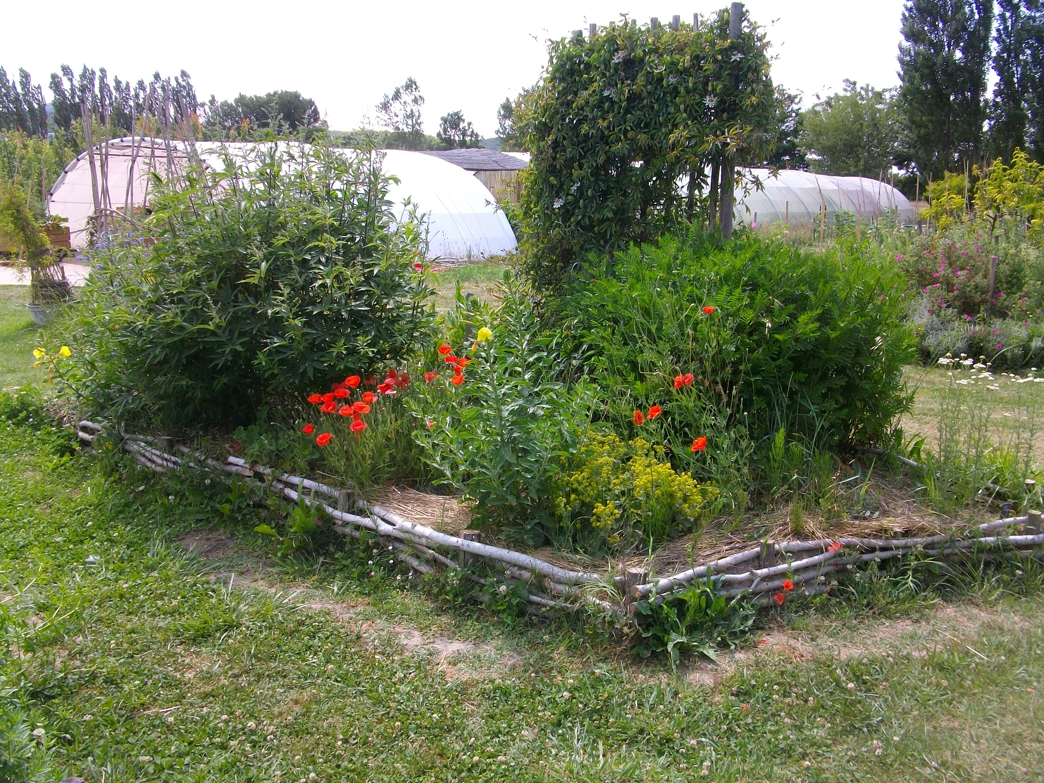 Croq'jardin, La Roque-d'Anthéron - photo 6