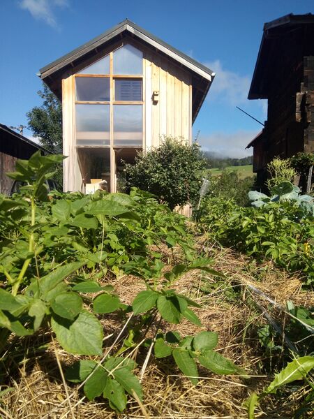 Brioche et Baldaquin