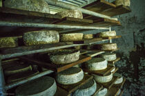 Visite de ferme d'alpage- Airon